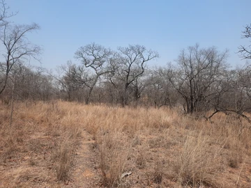 Farm & Agricultural Land