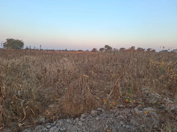 Farm & Agricultural Land