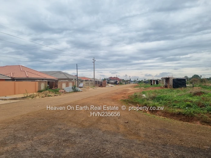 Beautiful stands for sale 