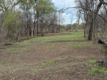 Farm & Agricultural Land