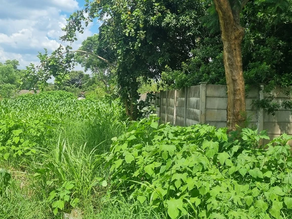 Stands & Residential Land