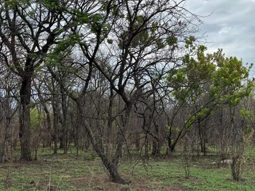 Farm & Agricultural Land