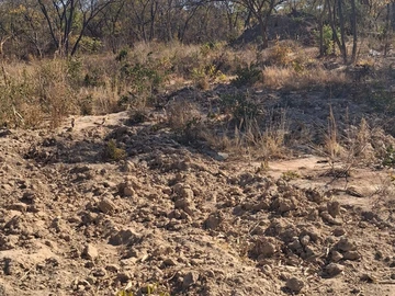 Farm & Agricultural Land