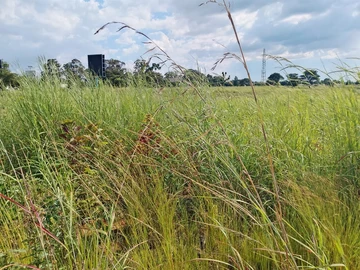 Commercial & Industrial Land