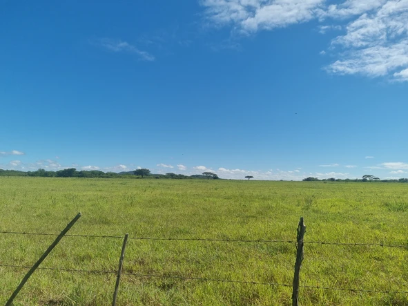 Farm & Agricultural Land