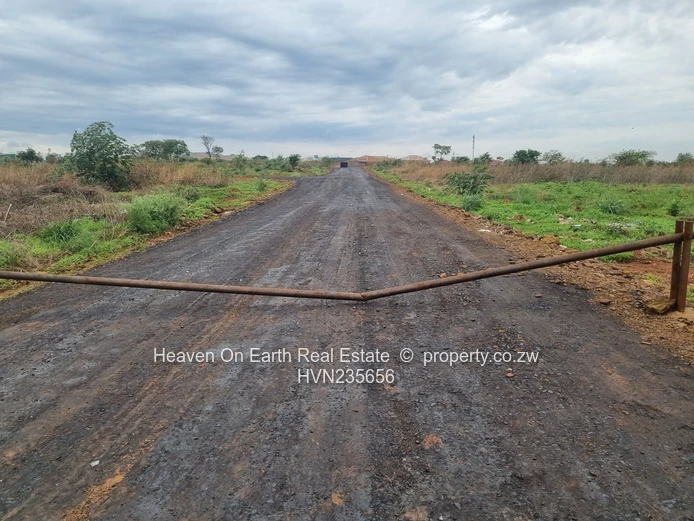 Beautiful stands for sale 