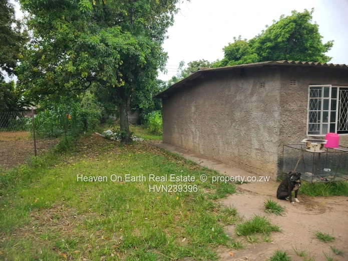 Starter home  (Sole Mandate)