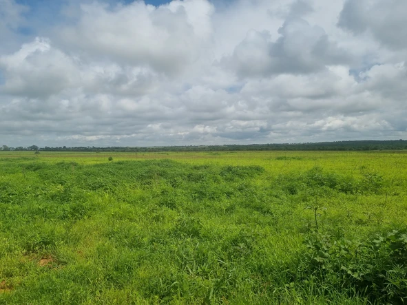 Farm & Agricultural Land