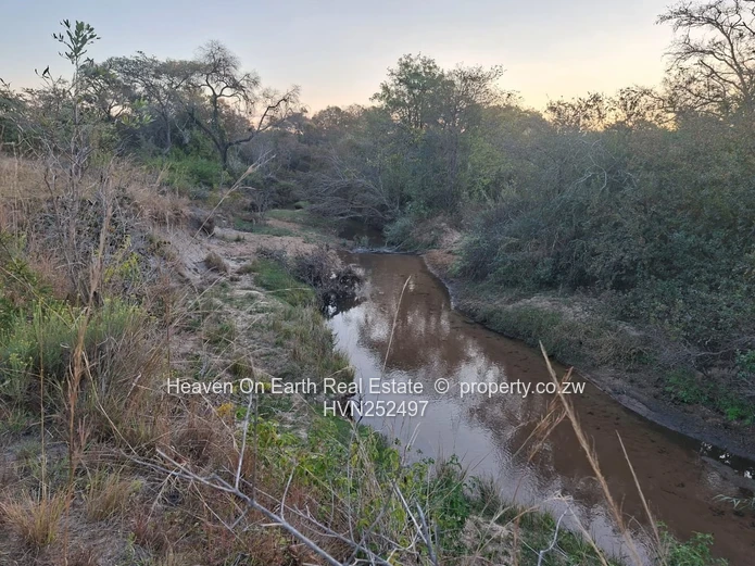 Beautiful plot for sale with a plunge dip