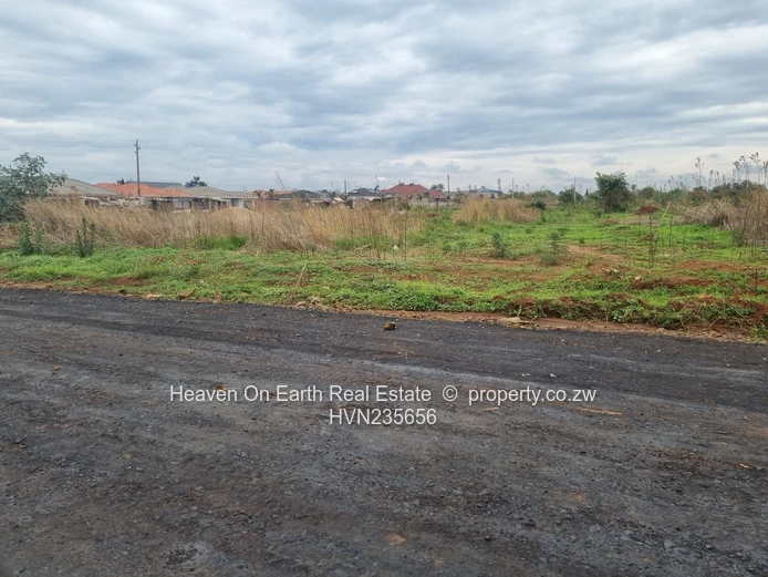 Beautiful stands for sale 