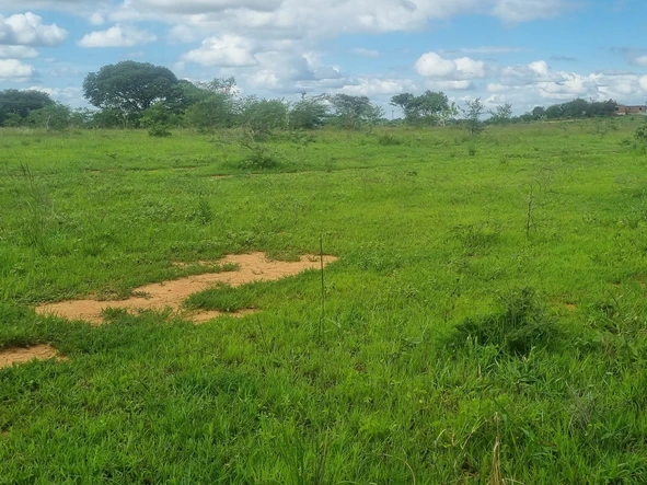 Farm & Agricultural Land