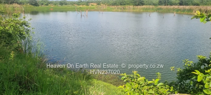 Attention Farmers!! Farm Now Reduced To Sale