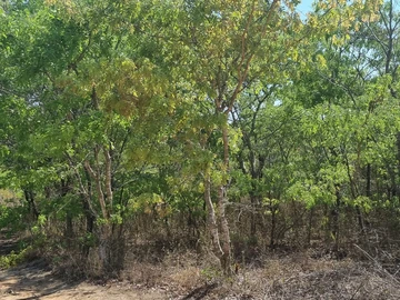 Farm & Agricultural Land