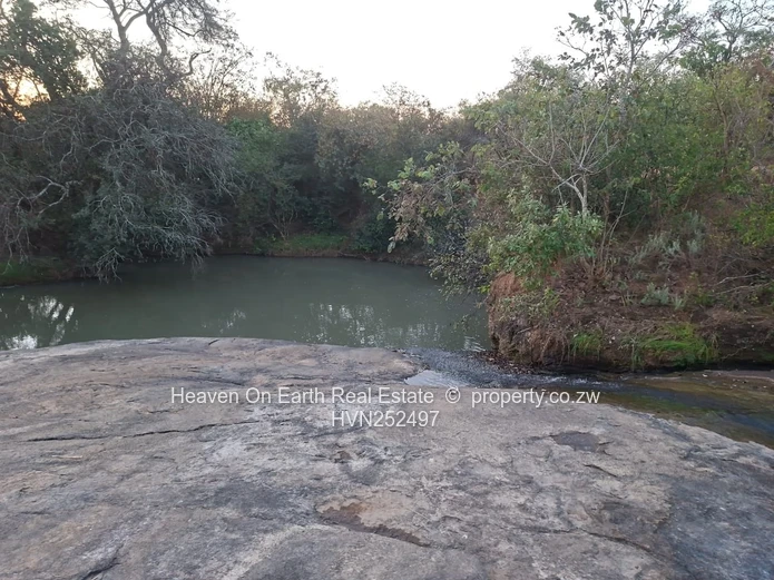 Beautiful plot for sale with a plunge dip