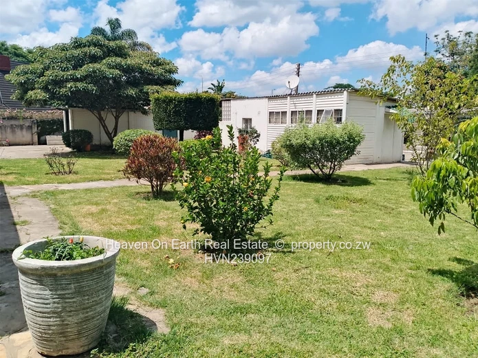 Exceptional Investment