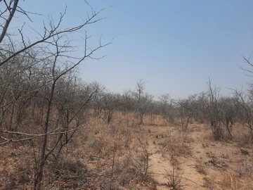 Farm & Agricultural Land