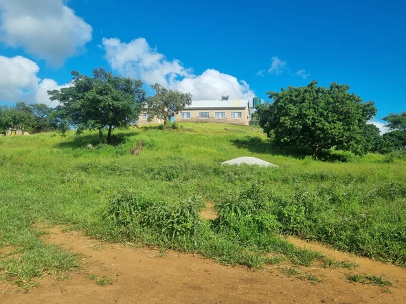 Farm & Agricultural Land