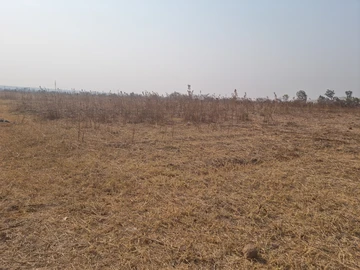 Farm & Agricultural Land