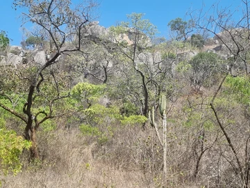 Farm & Agricultural Land