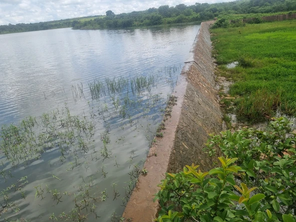 Farm & Agricultural Land