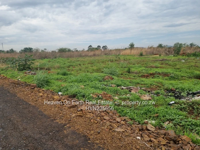 Beautiful stands for sale 