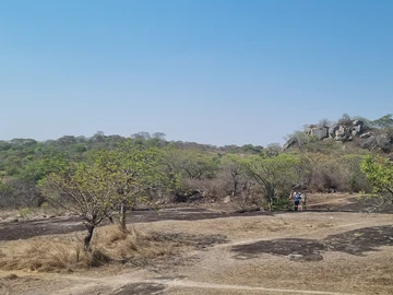 Farm & Agricultural Land