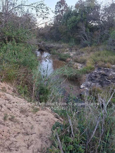 Beautiful plot for sale with a plunge dip