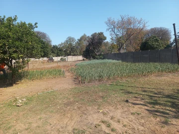Stands & Residential Land