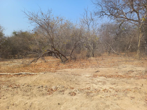 Farm & Agricultural Land