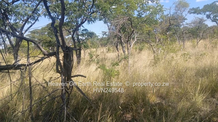 Farm for sale