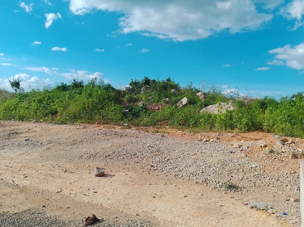 Commercial & Industrial Land