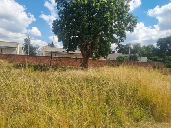 Stands & Residential Land
