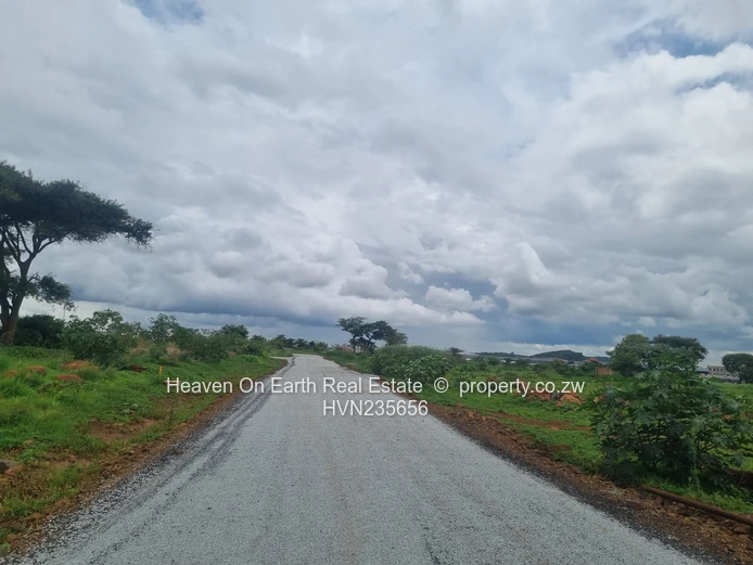 Beautiful stands for sale 