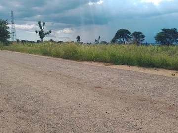 Commercial & Industrial Land