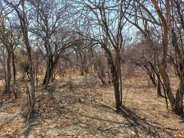 Farm & Agricultural Land