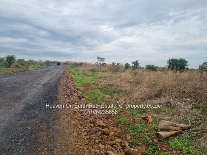 Beautiful stands for sale 