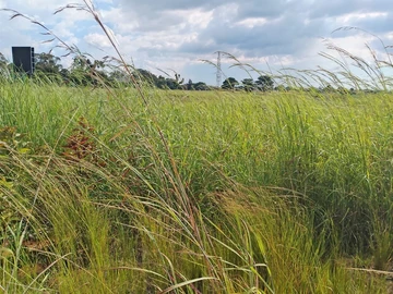 Commercial & Industrial Land