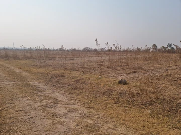 Farm & Agricultural Land