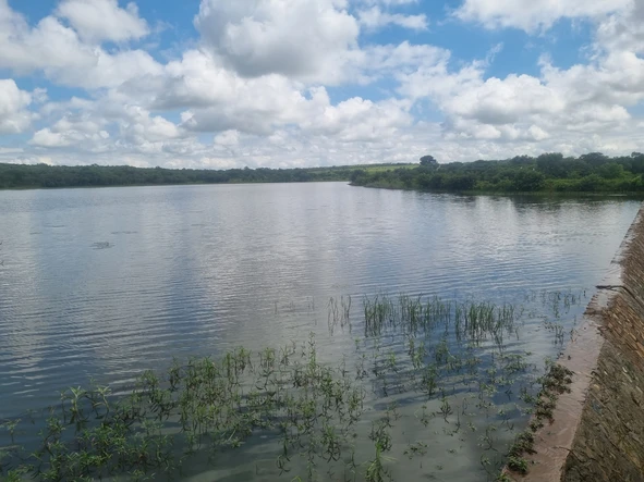 Farm & Agricultural Land