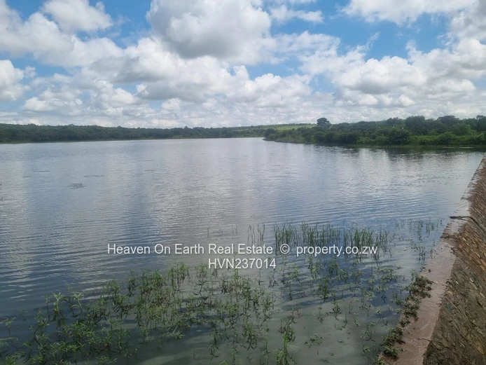 Green Gold For You Farmers!!