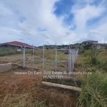 Beautiful stand