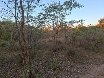 Farm & Agricultural Land