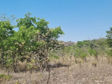 Farm & Agricultural Land
