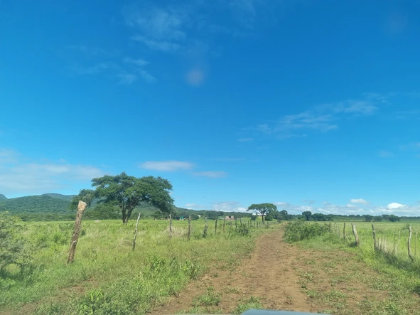 Farm & Agricultural Land