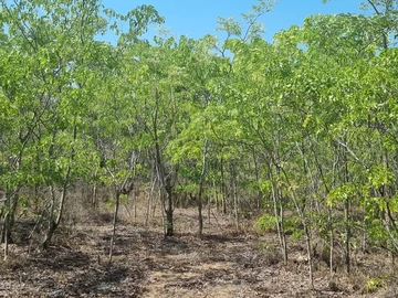 Farm & Agricultural Land