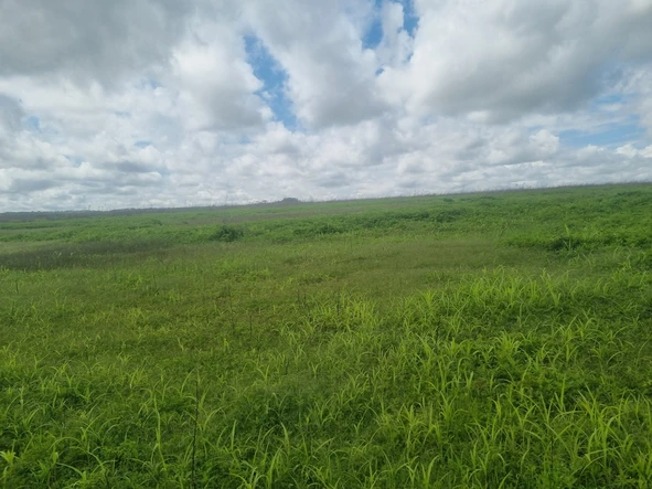 Farm & Agricultural Land