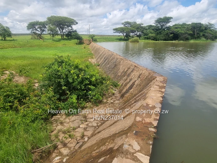 Green Gold For You Farmers!!