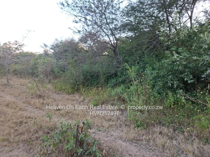 Beautiful plot for sale with a plunge dip