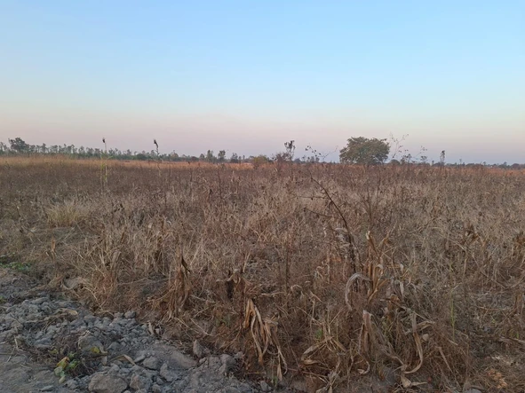 Farm & Agricultural Land