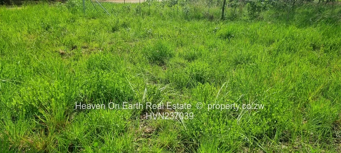 A Rare Opportunity To Own A Stand